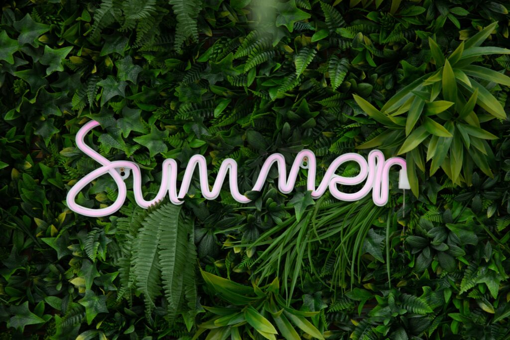 Summer SVGs