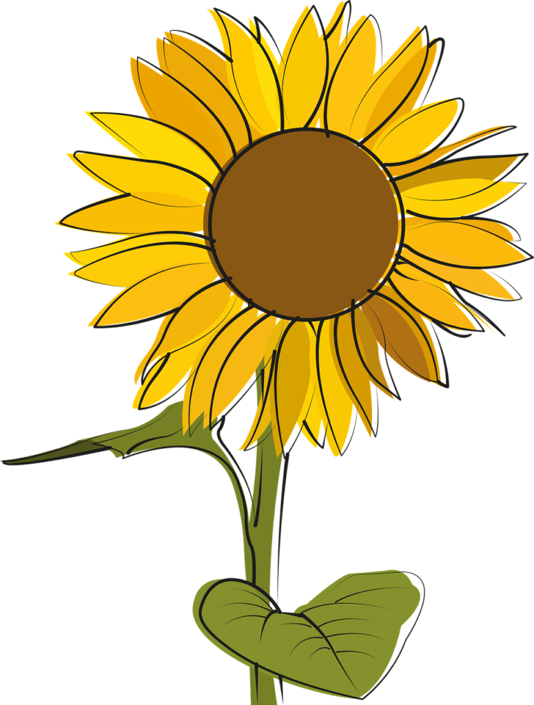 Sunflower SVGs