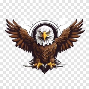Best Eagle PNG Transparent