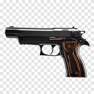 Free to Use Handgun PNG Download